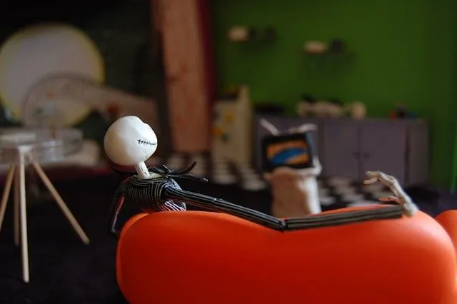 Un día en la vida de Jack | Flickr - Photo Sharing!