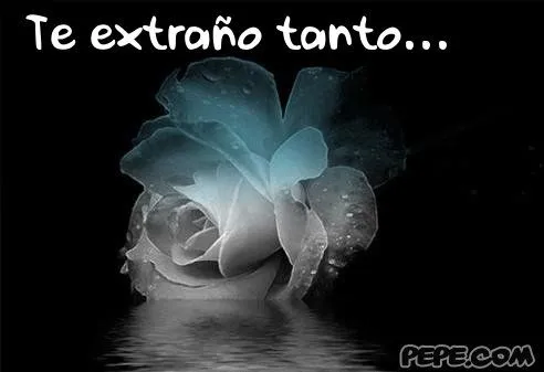 La vida plena en plena vida - Te extrano tanto - EL SALON ...