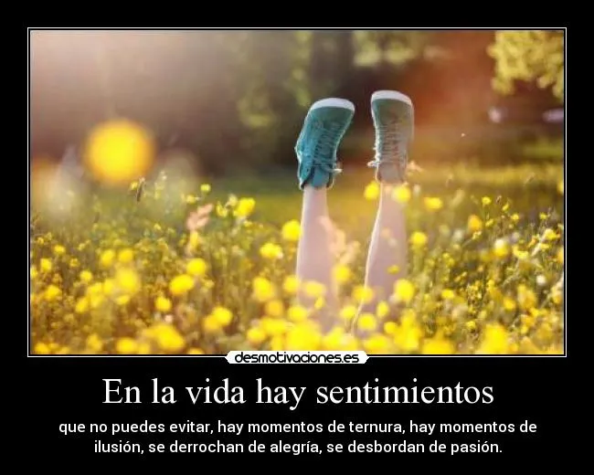 En la vida hay sentimientos | Desmotivaciones En la vida hay sentimientos | Desmotivaciones