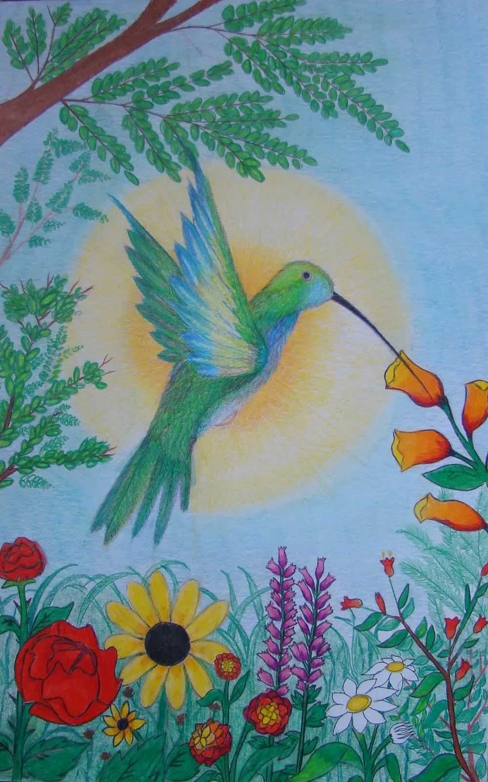 VIDA SILVESTRE EN NUEVO LEÓN: Tercer Concurso de Carteles de Aves ... VIDA SILVESTRE EN NUEVO LEÓN: Tercer Concurso de Carteles de Aves ...