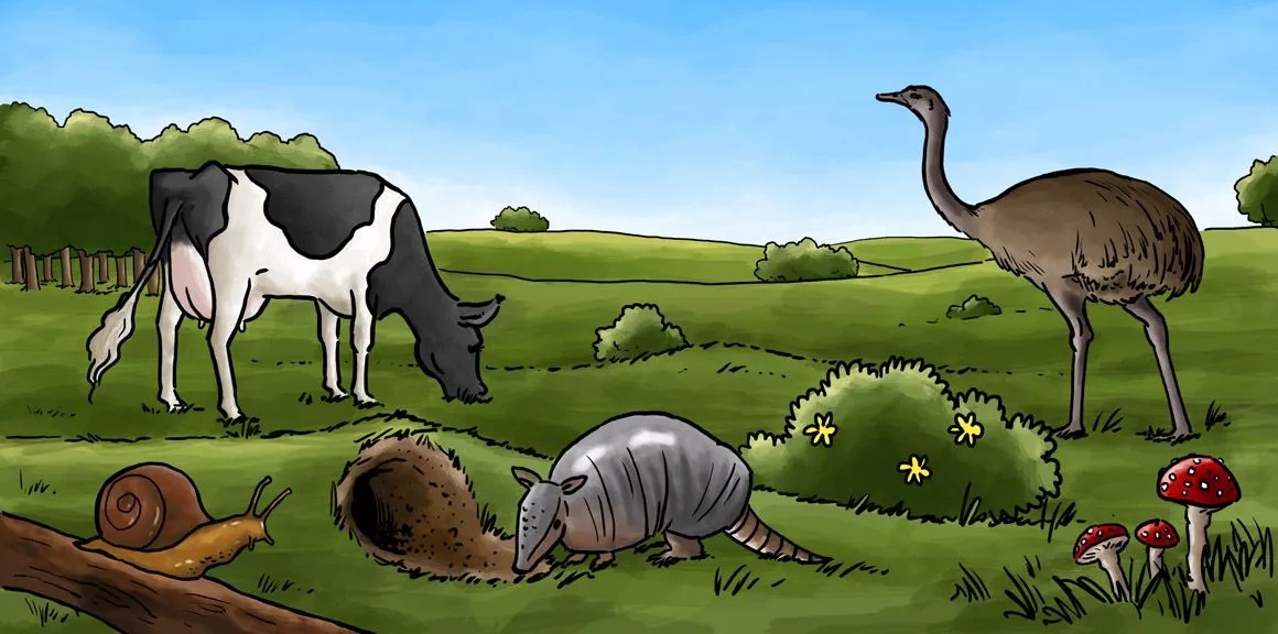 La vida en la tierra | Contenidos educativos digitales