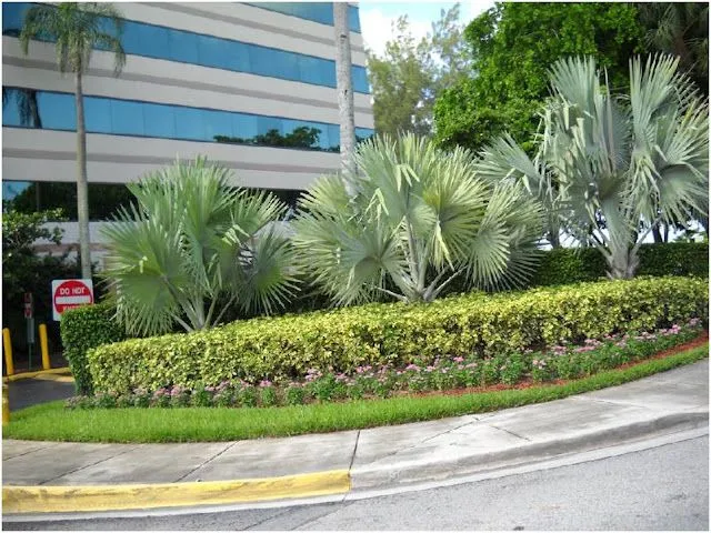 Vida a lo Verde*Living in Green*: Qué es el mulch. Jardines con ... Vida a lo Verde*Living in Green*: Qué es el mulch. Jardines con ...
