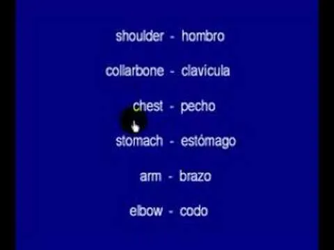Video 5 - Aprender ingles - partes del cuerpo - YouTube Video 5 - Aprender ingles - partes del cuerpo - YouTube