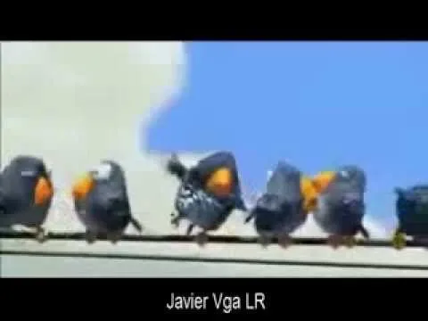 VIDEO CHISTOSO PARA whatsapp _ javier vga LR - YouTube VIDEO CHISTOSO PARA whatsapp _ javier vga LR - YouTube