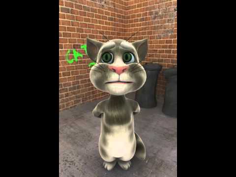 Vídeo gracioso mandando saludos con el tom - YouTube Vídeo gracioso mandando saludos con el tom - YouTube