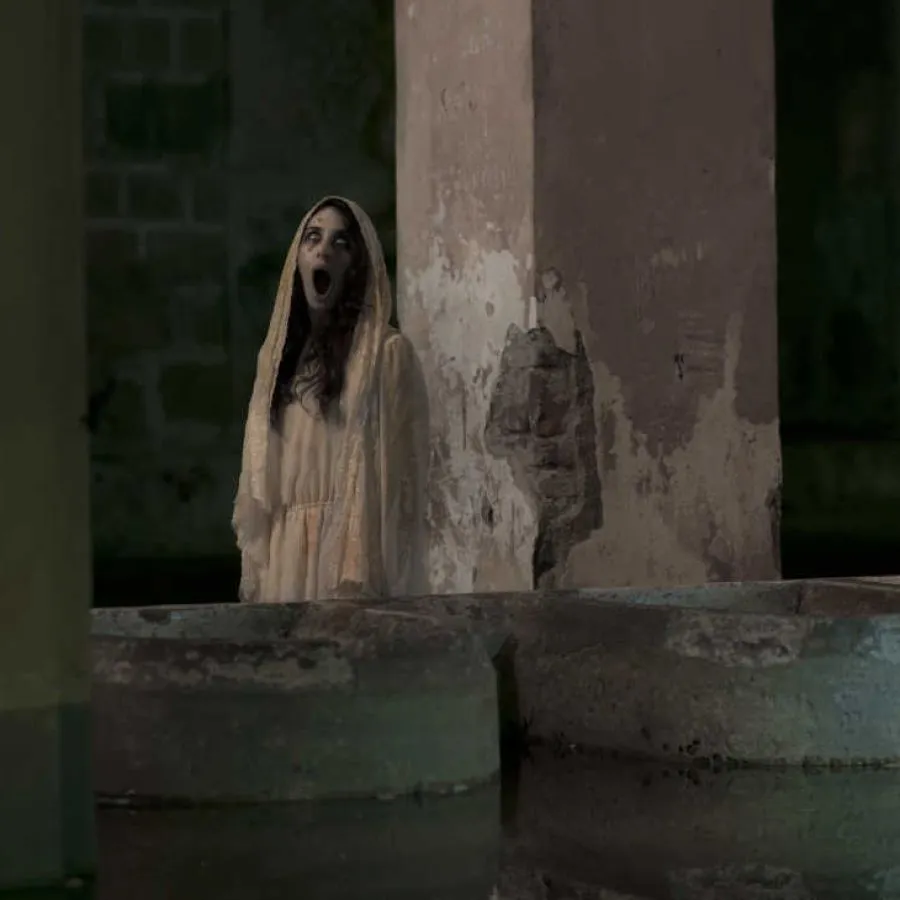 Vídeo: “La Llorona” aterrorizó a los vecinos de Villa Carlos Paz | Perfil Vídeo: “La Llorona” aterrorizó a los vecinos de Villa Carlos Paz | Perfil