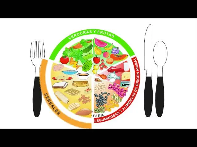 Video1 plato del bien comer - Youtube Downloader mp3 Video1 plato del bien comer - Youtube Downloader mp3