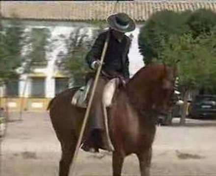 Vídeos de Caballos bailarines