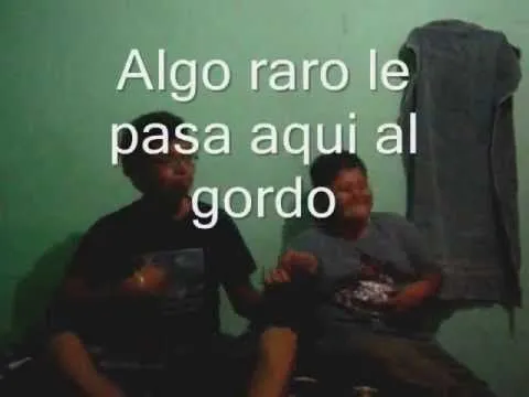 Videos comicos un gordo loco - YouTube