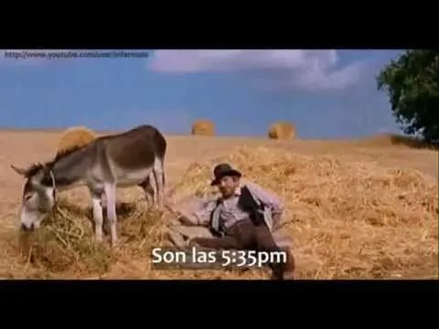 VIDEOS GRACIOSOS, MUY BUENO ] El burro que da la hora con sus ...