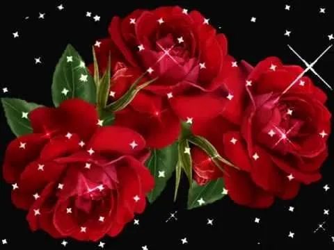 videos de iguala rosas hermosas - YouTube