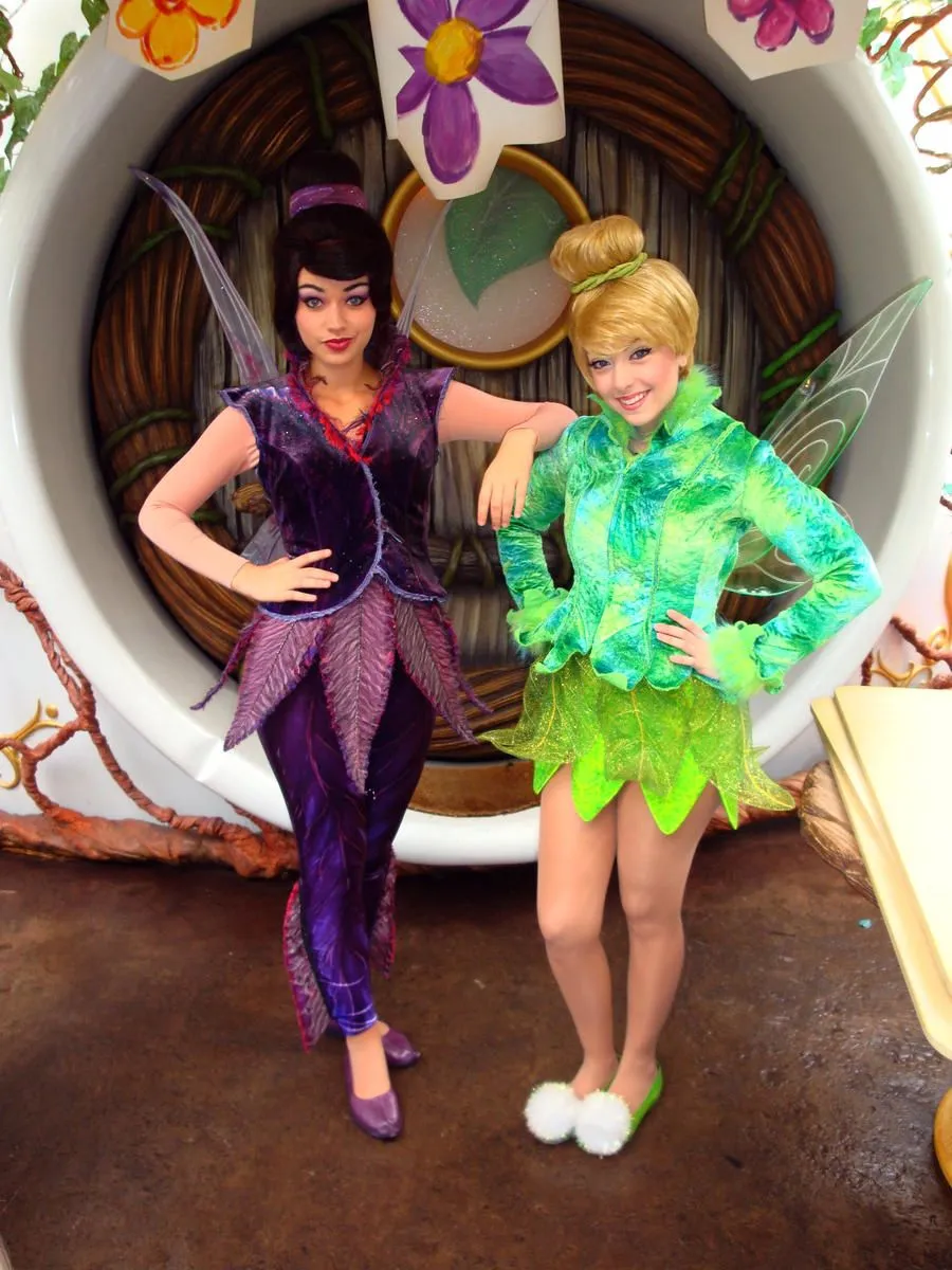 Vidia and Tinkerbell by ~disney-fairy on deviantART Vidia and Tinkerbell by ~disney-fairy on deviantART