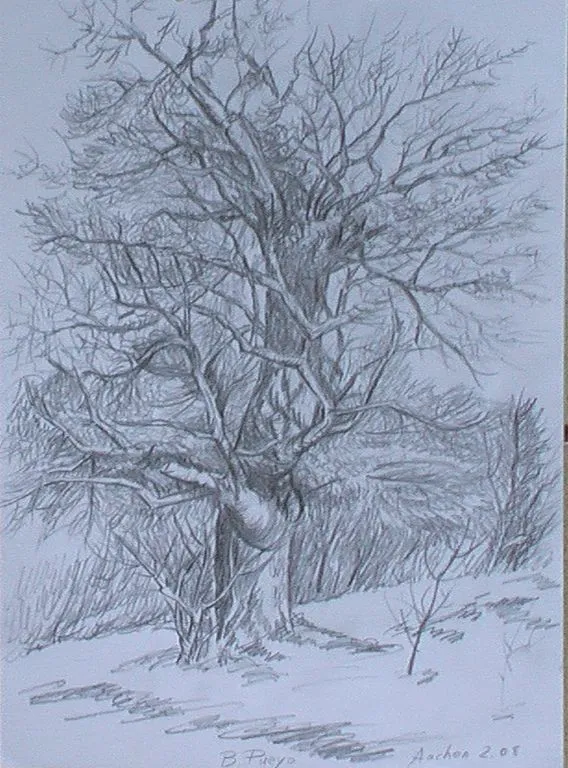 Aquel viejo árbol Blanca Pueyo - Artelista.com Aquel viejo árbol Blanca Pueyo - Artelista.com