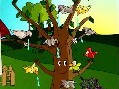El Viejo Árbol. Cuento Infantil. - YouTube