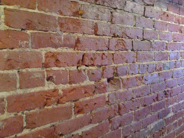 Contra el que viene de cara, o contra el muro? - Circula Seguro