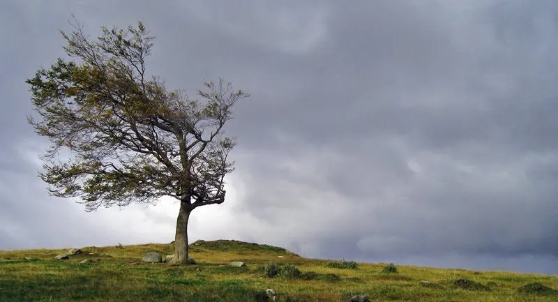 CUANDO EL VIENTO SOPLA | EL Candil de los Pensamientos