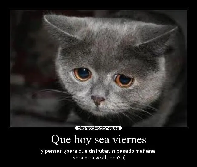 Que hoy sea viernes | Desmotivaciones