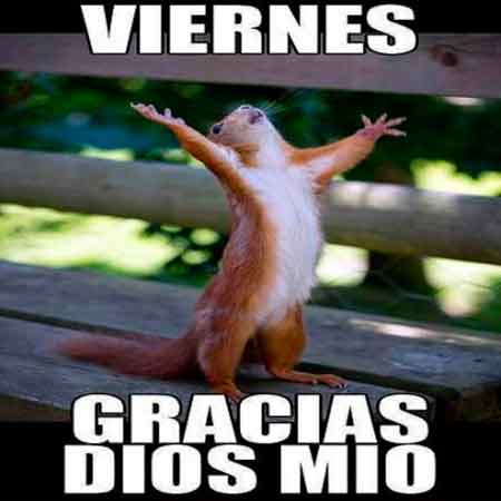 Otro viernes | Imagenes Graciosas. Fotos graciosas Otro viernes | Imagenes Graciosas. Fotos graciosas