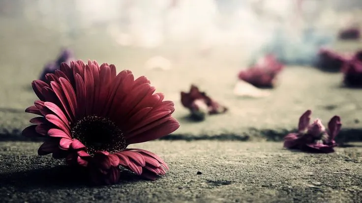 Vintage Desktop Wallpapers on Pinterest