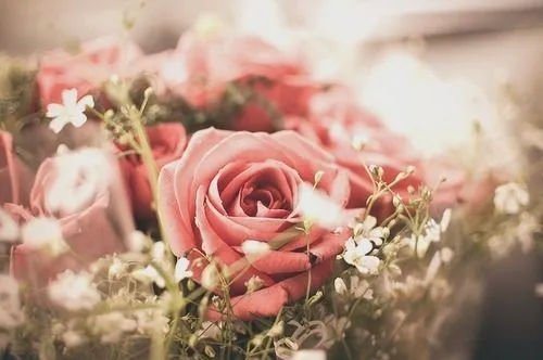 Vintage Floral Flowers Tumblr Love Photography Free Download ...