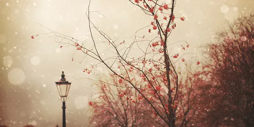 Vintage tumblr - Imagui