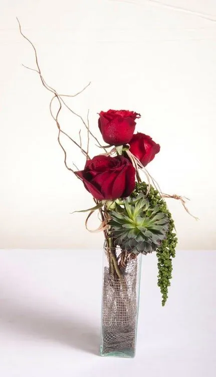 Violetero con 3 rosas rojas con diferentes follajes. | arreglo de ... Violetero con 3 rosas rojas con diferentes follajes. | arreglo de ...