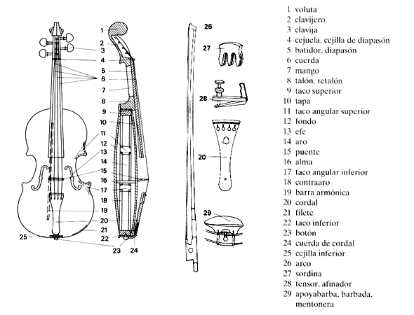 Violín