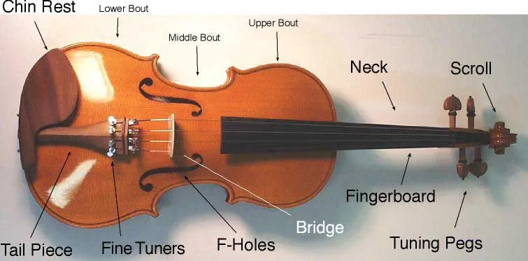 Violin Purchase