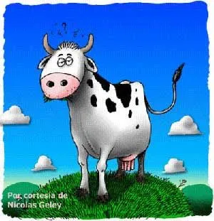 VIP (area for cows) *****: Tengo una vaca lechera VIP. VIP (area for cows) *****: Tengo una vaca lechera VIP.