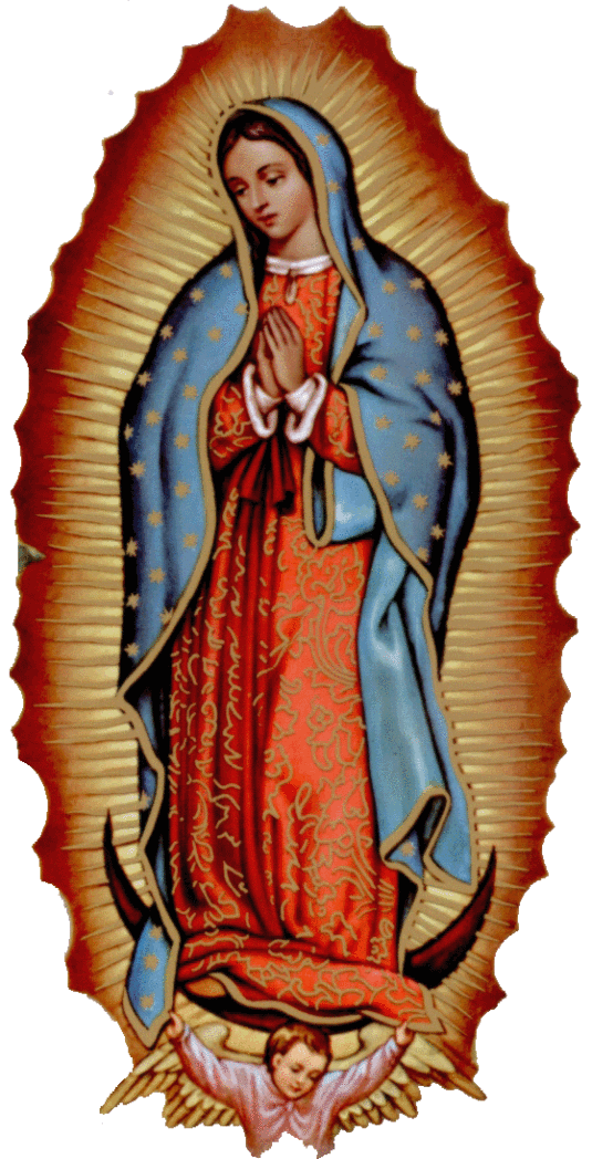 Virgen de Guadalupe gif - Imagui