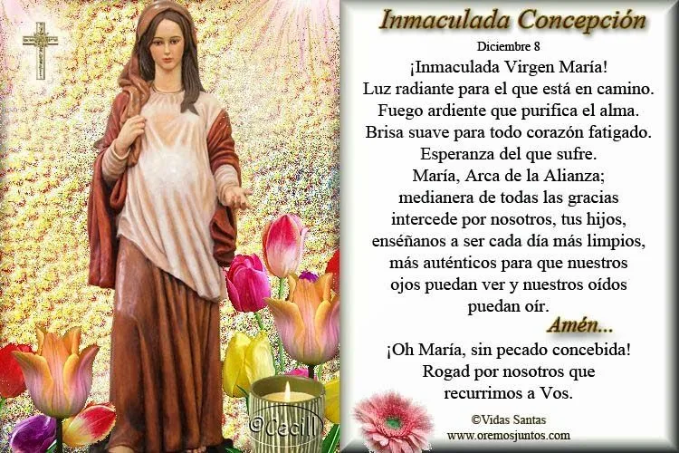 VIRGEN MARÍA, RUEGA POR NOSOTROS : 02/05/14