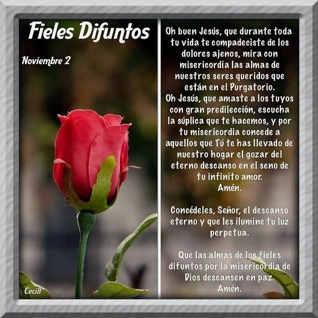BLOG CATÓLICO GOTITAS ESPIRITUALES: DIA DE LOS FIELES DIFUNTOS BLOG CATÓLICO GOTITAS ESPIRITUALES: DIA DE LOS FIELES DIFUNTOS