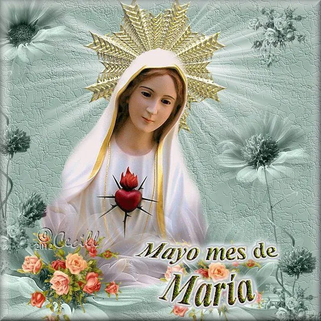 VIRGEN MARÍA, RUEGA POR NOSOTROS : IMAGENES CON MENSAJES - VIRGEN ... VIRGEN MARÍA, RUEGA POR NOSOTROS : IMAGENES CON MENSAJES - VIRGEN ...