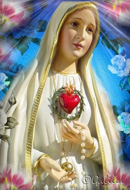 VIRGEN MARÍA, RUEGA POR NOSOTROS : IMAGENES DE LA VIRGEN DE FATIMA