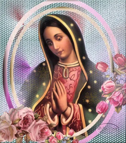 VIRGEN MARÍA, RUEGA POR NOSOTROS : IMAGENES VIRGEN DE GUADALUPE VIRGEN MARÍA, RUEGA POR NOSOTROS : IMAGENES VIRGEN DE GUADALUPE
