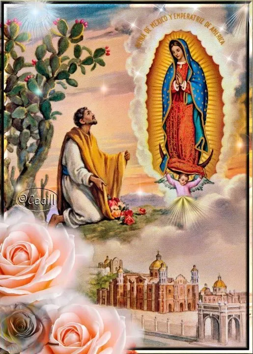 VIRGEN MARÍA, RUEGA POR NOSOTROS : IMAGENES VIRGEN DE GUADALUPE