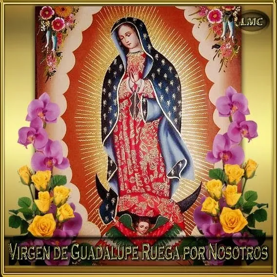 VIRGEN MARÍA, RUEGA POR NOSOTROS : VIRGEN DE GUADALUPE - IMAGENES