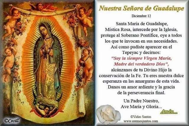 VIRGEN MARÍA, RUEGA POR NOSOTROS : VIRGEN DE GUADALUPE - ORACIONES VIRGEN MARÍA, RUEGA POR NOSOTROS : VIRGEN DE GUADALUPE - ORACIONES