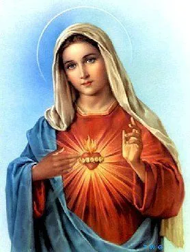 Virgen Maria Santísima - Inmaculada Concepción , Madre de Dios Virgen Maria Santísima - Inmaculada Concepción , Madre de Dios