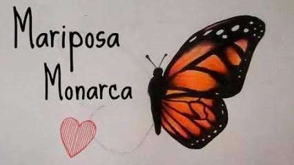 virginia bravo romero - Photos - Google+