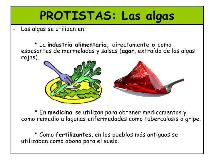 virus-bacterias-hongos-y- ...