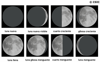 VISIÓN AGROECOLÓGICA: Trabajemos con la luna VISIÓN AGROECOLÓGICA: Trabajemos con la luna