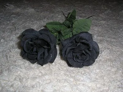 Visiones aromatizadas de añil: La Rosa Negra (capítulo VII) Visiones aromatizadas de añil: La Rosa Negra (capítulo VII)