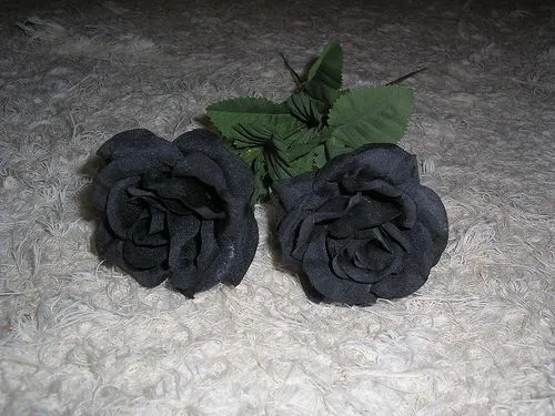Visiones aromatizadas de añil: La Rosa Negra (capítulo VII) Visiones aromatizadas de añil: La Rosa Negra (capítulo VII)