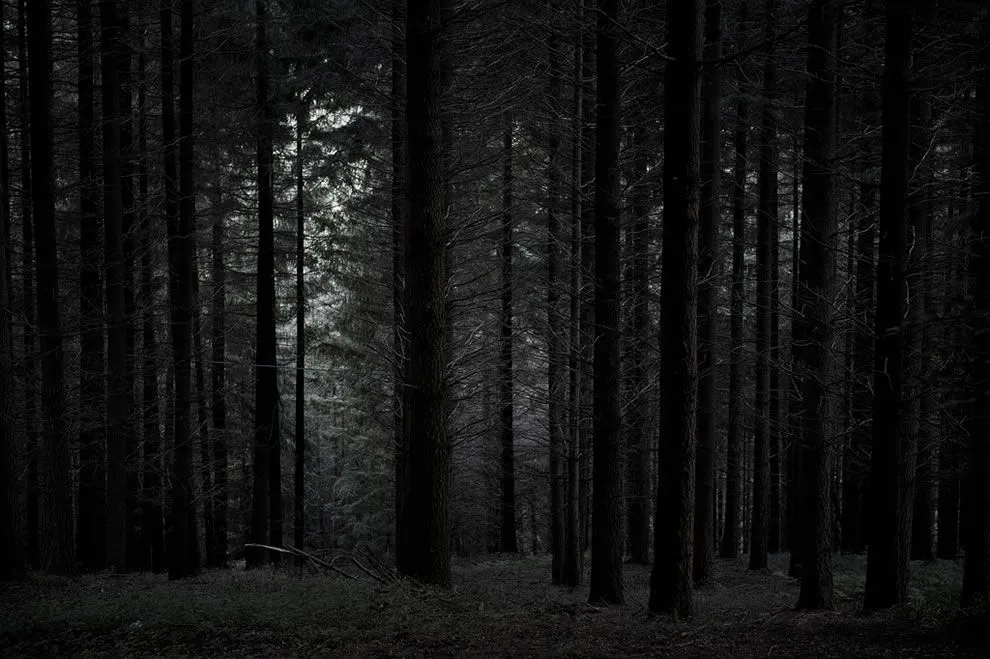 De visita por los Bosques Encantados | Celebrity image gallery ...