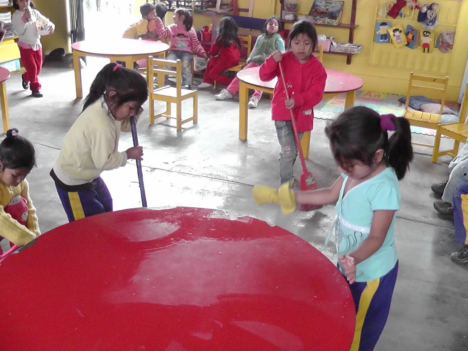 Visitas de Acompañamiento Pedagógico a las Docente: noviembre 2010