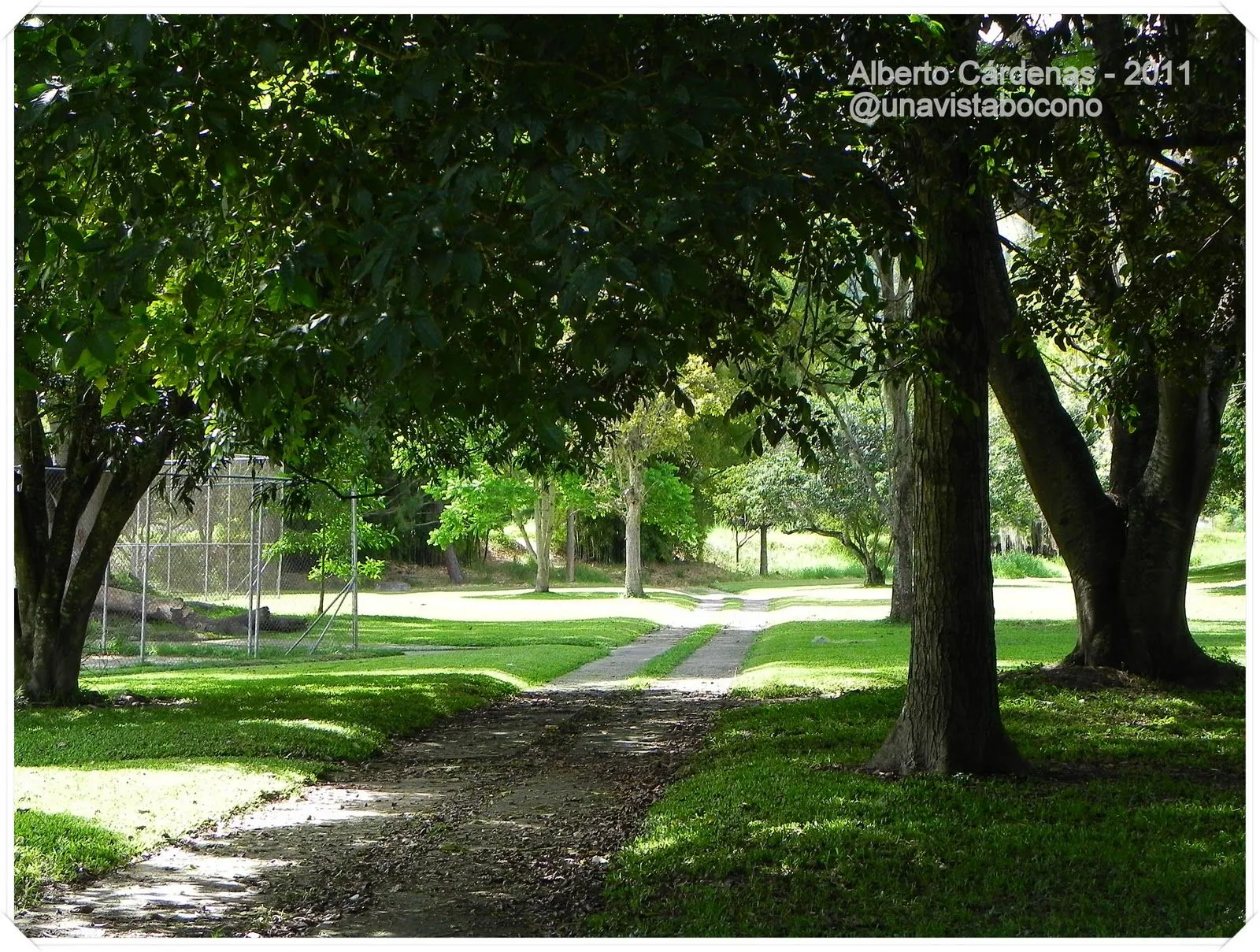 Una Vista a Boconó: El valor de un Parque Urbano Una Vista a Boconó: El valor de un Parque Urbano