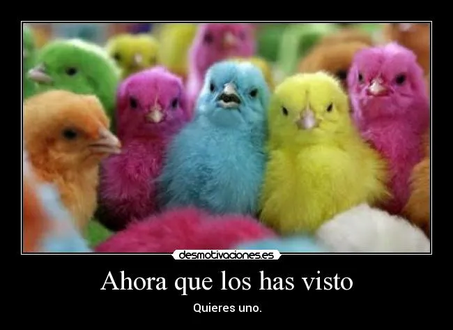 Ahora que los has visto | Desmotivaciones