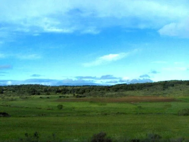 Visto lo visto: Paisaje a través de la ventana