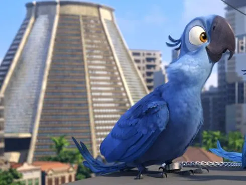 Visually stunning 'Rio' will make your baby smile - USATODAY.com